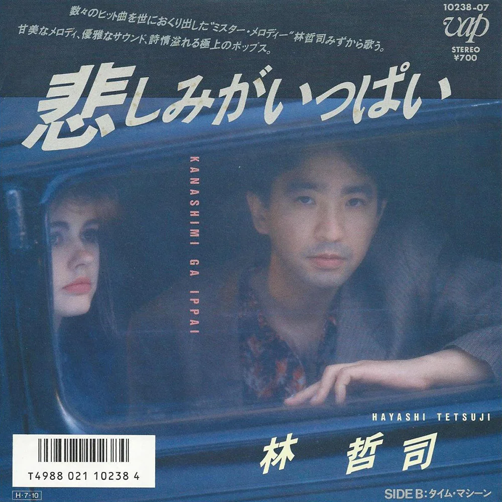 悲しみがいっぱい / 林哲司 / 悲しみがいっぱい / 1986